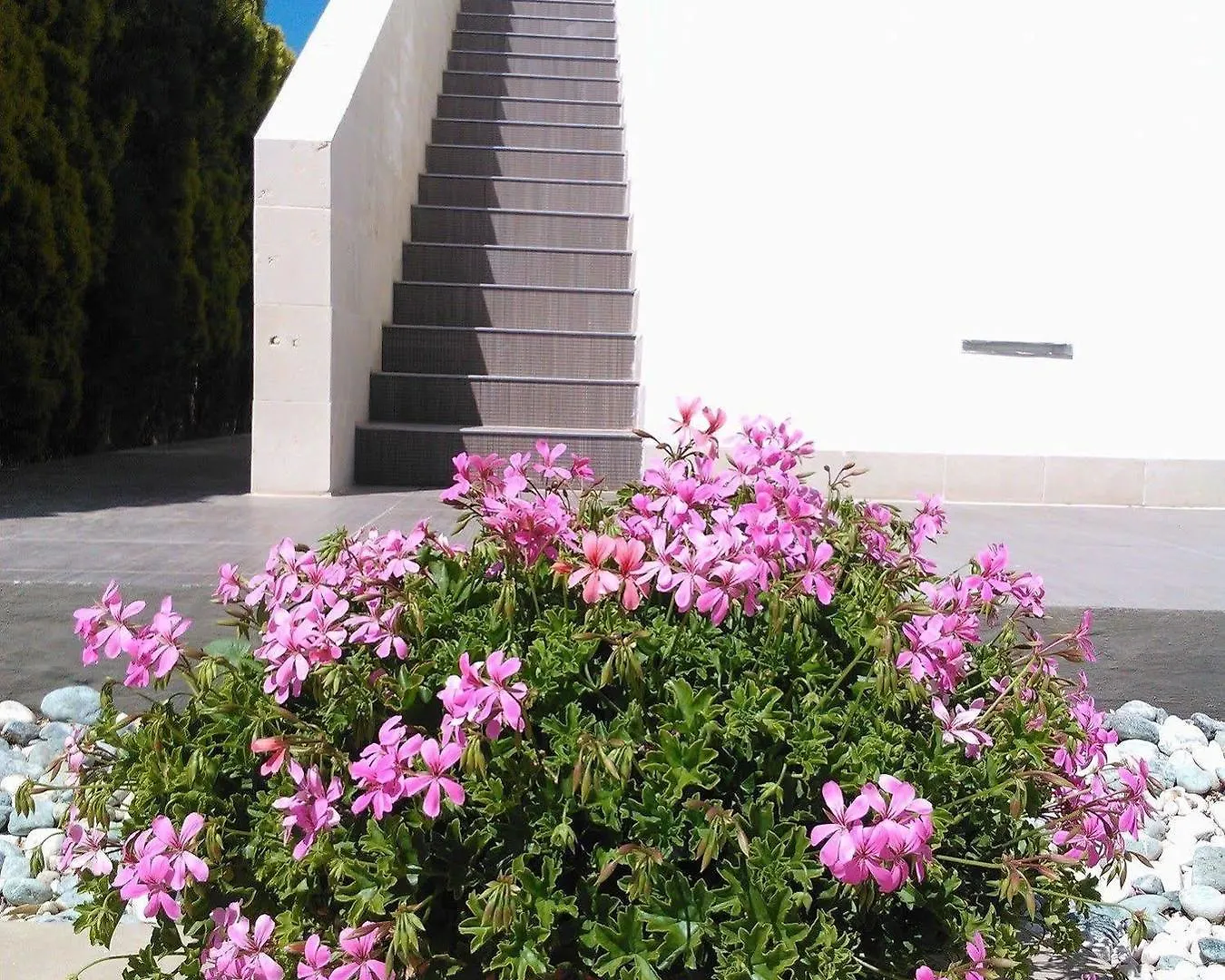 *** Bed & Breakfast B&B Torrefano Italy